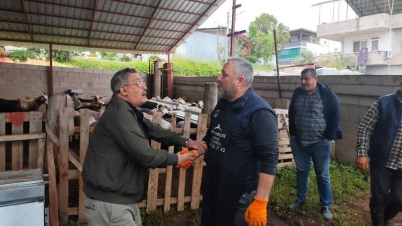 Kurbanlıklar satışa çıktı, pazarlıklar kızıştı