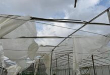 Mersin’de fırtına ve hortum seralara zarar verdi